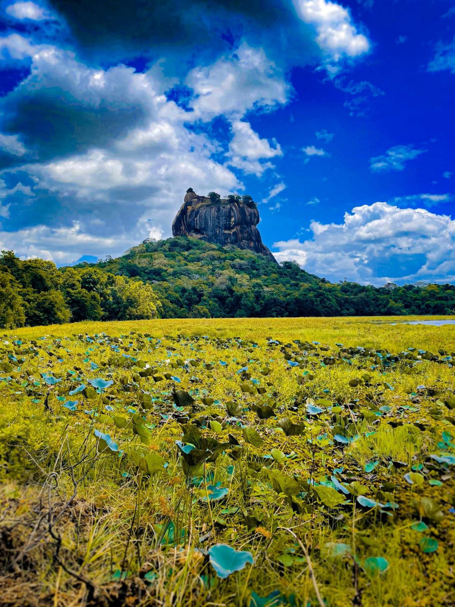 The Lotus Villa Sigiriya Exterior foto